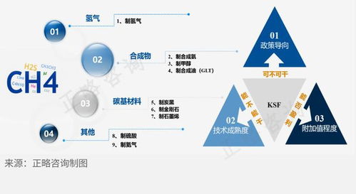天然氣深加工行業(yè)細分領(lǐng)域發(fā)展前景淺析及旅游開發(fā)項目策劃咨詢